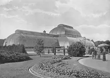 The Great Palm House, Kew Gardens c1896. Artist: York & Son