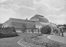 The Great Palm House, Kew Gardens c1896. Artist: York & Son