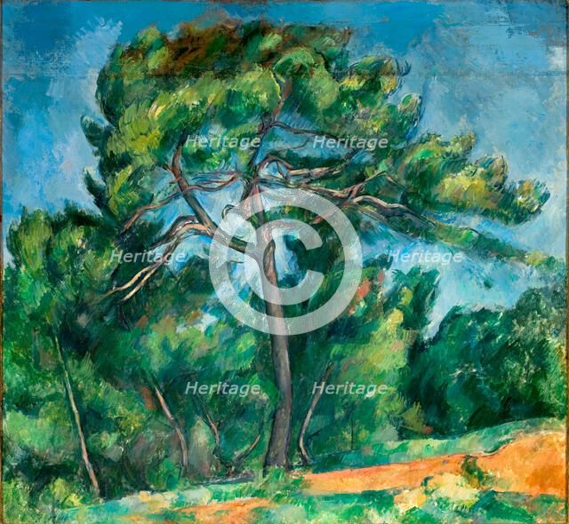 The Great Pine (Le Grand Pin), 1890-1896. Creator: Cézanne, Paul (1839-1906).