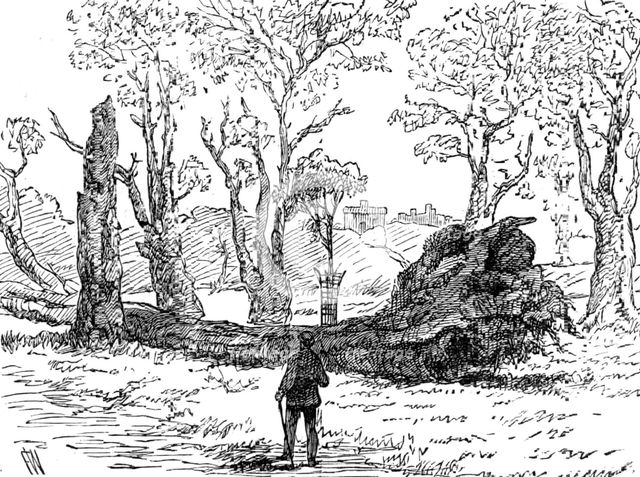 The Great Storm of Wind on Friday week: a tree uprooted near the bridge, Eton, 1881. Creator: Unknown.