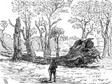 The Great Storm of Wind on Friday week: a tree uprooted near the bridge, Eton, 1881. Creator: Unknown