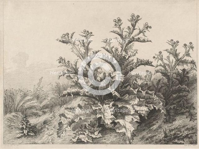 The Great Thistle (Le Grand Chardon), 1843. Creator: Eugene Blery.