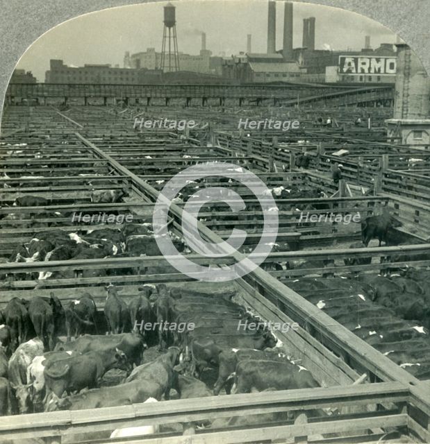 'The Great Union Stock Yards, Largest Live Stock Market on Earth, Chicago, Illinois', c1930s. Creator: Unknown.
