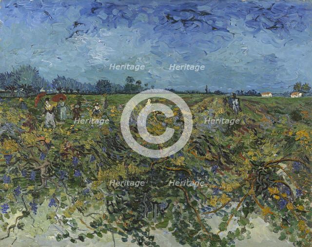 The Green Vineyard, 1888. Creator: Gogh, Vincent, van (1853-1890).