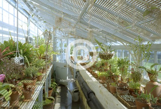 The greenhouse, Down House, Downe, London, 2000. Artist: N Corrie
