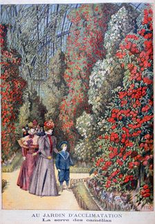 The greenhouse of the camellias, zoological gardens, Paris, 1897. Artist: Henri Meyer