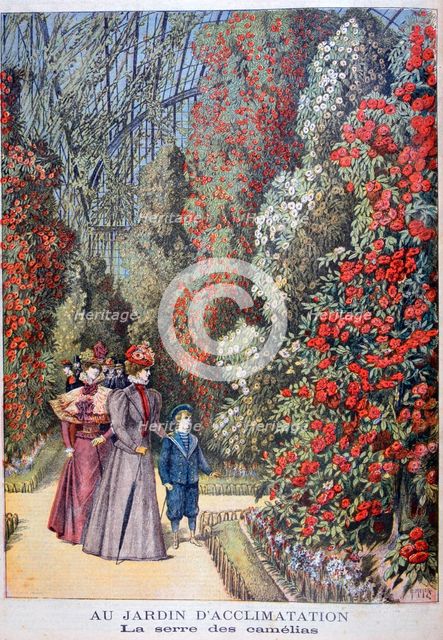The greenhouse of the camellias, zoological gardens, Paris, 1897. Artist: Henri Meyer