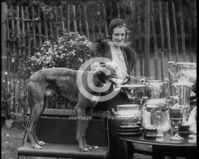 The Greyhound 'Mick the Miller' and his Trophies, 1930s. Creator: British Pathe Ltd.