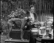 The Greyhound Mick the Miller and his Trophies, 1930s. Creator: British Pathe Ltd