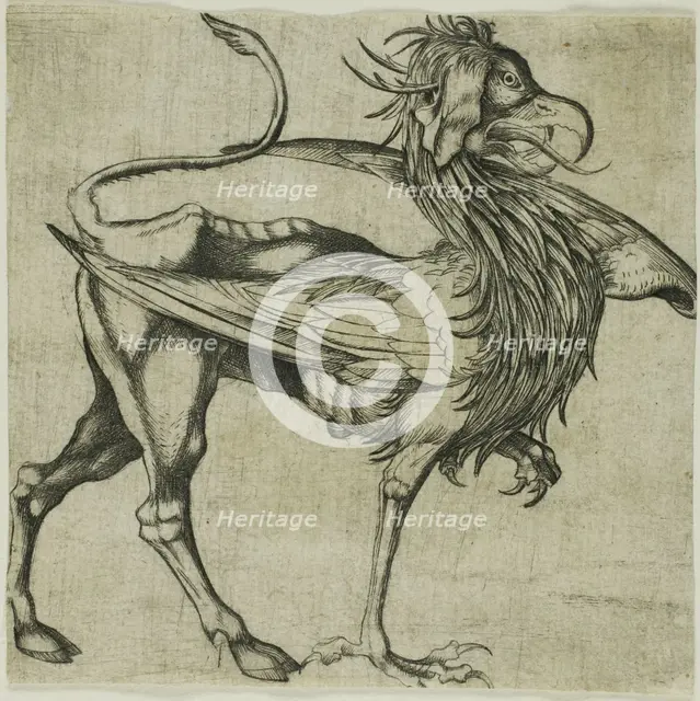 The Griffin, c. 1485. Creator: After Martin Schongauer German, c. 1430/50-1491.