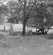 The grower provided clean tents and a shady..., near Grants Pass, Josephine County, Oregon, 1939. Creator: Dorothea Lange