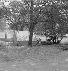 The grower provided clean tents and a shady..., near Grants Pass, Josephine County, Oregon, 1939. Creator: Dorothea Lange