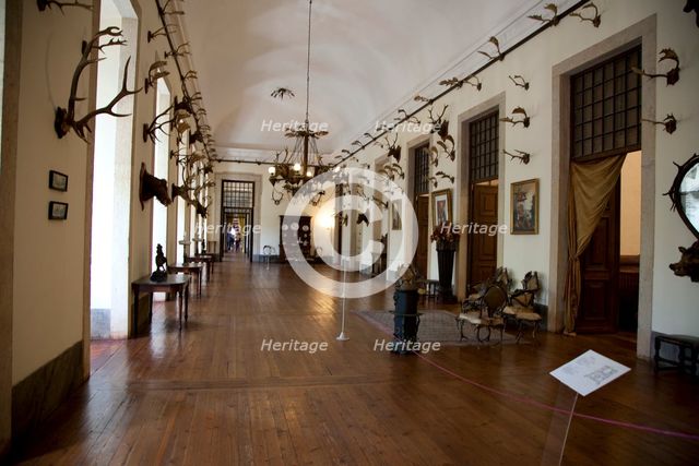 The hunting trophy room in the Mafra National Palace (Palacio de Mafra), Mafra, Portugal, 2009. Creator: Samuel Magal.