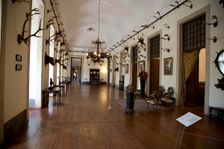 The hunting trophy room in the Mafra National Palace (Palacio de Mafra), Mafra, Portugal, 2009. Creator: Samuel Magal