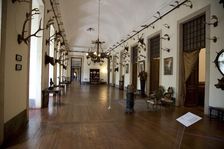 The hunting trophy room in the Mafra National Palace (Palacio de Mafra), Mafra, Portugal, 2009. Artist: Samuel Magal