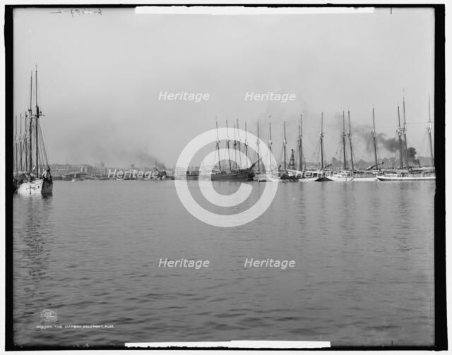 The Harbor, Gulfport, Miss., c1906. Creator: Unknown.