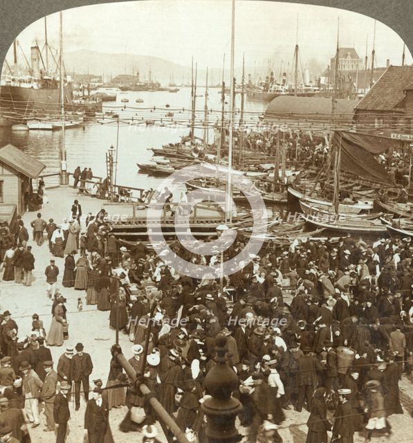 'The harbor, N.W. from the market-place in Bergen, the greatest fish market of Norway', c1905. Creator: Unknown.