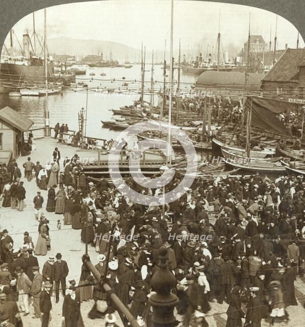 'The harbor, N.W. from the market-place in Bergen, the greatest fish market of Norway', c1905. Creator: Unknown.