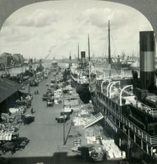 The Harbor of Copenhagen, Metropolis of Denmark c1930s. Creator: Unknown