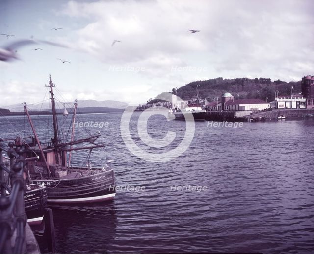 The harbour, Oban, Scotland, c1955. Creator: Arthur Charles Kirby Ware.