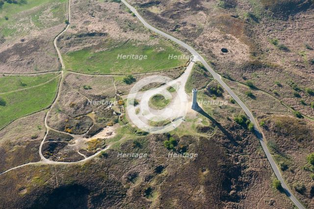 The Hardy Monument, Black Down, Doset, 2015. Creator: Historic England.