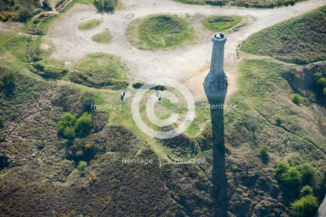 The Hardy Monument, Black Down, Doset, 2015. Creator: Historic England.