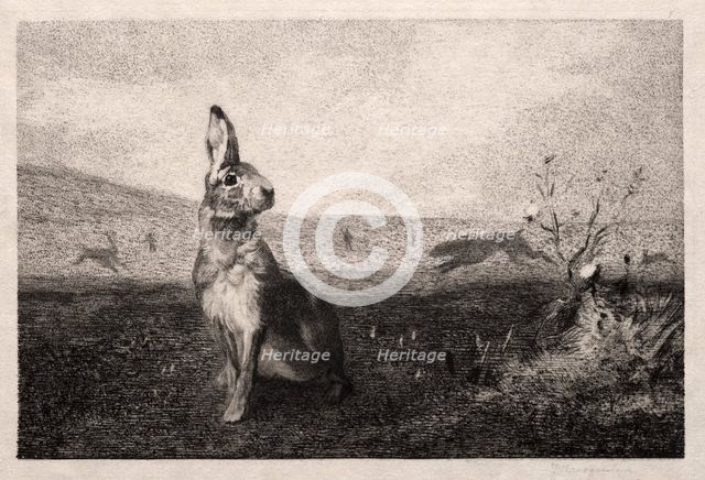 The Hare (after A. de Balleroy), 1865. Creator: Félix Bracquemond (French, 1833-1914).