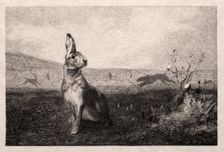 The Hare (after A. de Balleroy), 1865. Creator: Félix Bracquemond (French, 1833-1914)