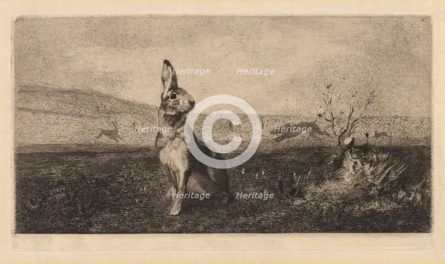 The Hare (Le Lièvre), 1865. Creator: Félix Bracquemond (French, 1833-1914).