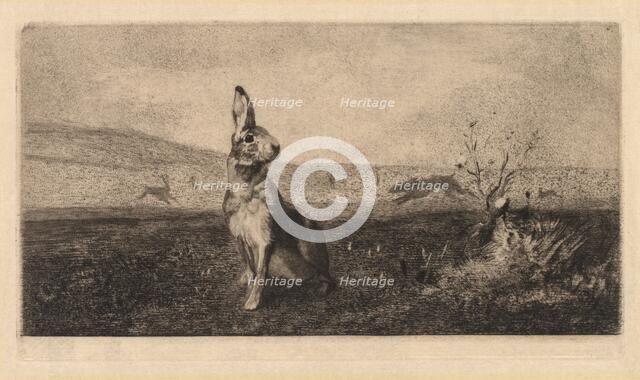 The Hare (Le Lièvre), 1865. Creator: Félix Bracquemond (French, 1833-1914).