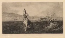 The Hare (Le Lièvre), 1865. Creator: Félix Bracquemond (French, 1833-1914)