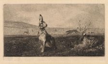 The Hare (Le Lièvre), 1865. Creator: Félix Bracquemond (French, 1833-1914)
