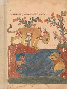 The Hare, the Lion, and the Well, Folio from a Kalila wa Dimna, 18th century. Creator: Unknown
