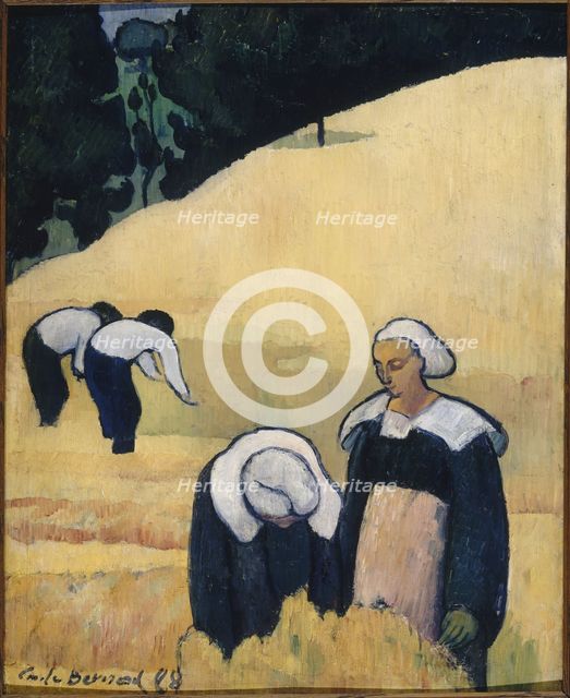 The Harvest.