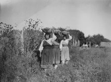 The Harvest-San Juan, c1905. Creator: Edward Sheriff Curtis