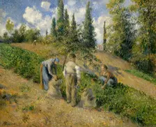 The Harvest, Pontoise (La Récolte, Pontoise), 1881. Creator: Camille Pissarro