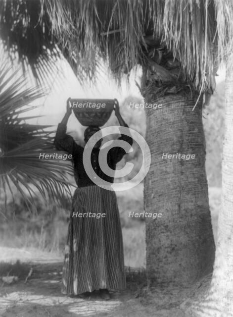 The harvester-Cahuilla, 1905, c1924. Creator: Edward Sheriff Curtis.