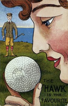 The Hawk is the favourite postcard. Creator: Unknown
