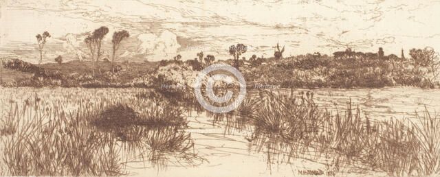 The Haunt of the Muskrat - Easthampton, 1884. Creator: Mary Norman.