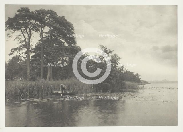 The Haunt of the Pike, 1886. Creator: Peter Henry Emerson.
