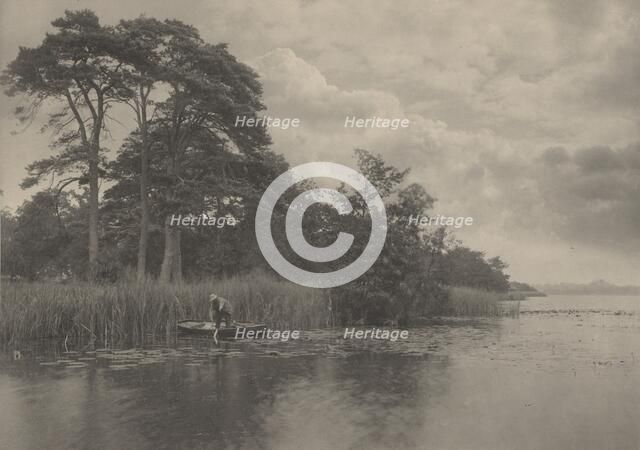 The Haunt of the Pike, 1887. Creator: Dr Peter Henry Emerson.