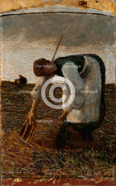 The hay harvest.