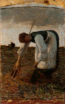 The hay harvest