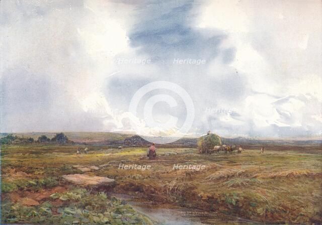 'The Hayfield', 1872-1906, (1906). Creator: Claude Hayes.