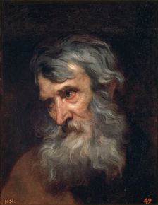 The Head of an Old Man, 1618-1620. Creator: Anthony van Dyck