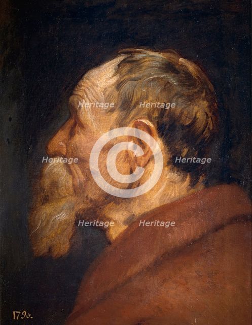 The Head of an Old Man, 1618-1620. Creator: Anthony van Dyck.