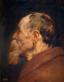 The Head of an Old Man, 1618-1620. Creator: Anthony van Dyck