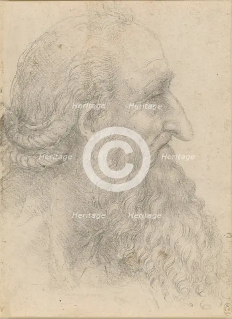 The head of an old bearded man , ca 1517. Creator: Leonardo da Vinci (1452-1519).
