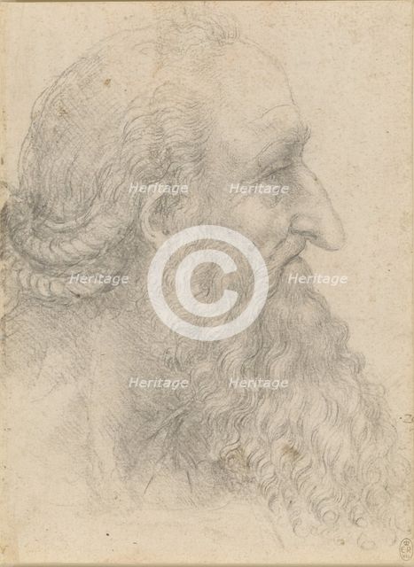 The head of an old bearded man , ca 1517. Creator: Leonardo da Vinci (1452-1519).