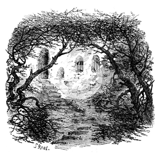 The Hermitage, Warkworth, 1881. Creator: Unknown.